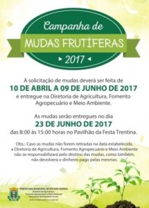 Read more about the article Campanha de mudas frutíferas em Rio dos Cedros