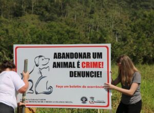 Read more about the article Contra o abandono de animais