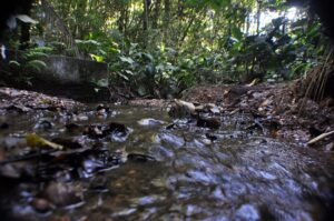 Read more about the article Inscrições abertas para passeio no Parque São Francisco de Assis