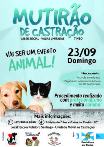 Read more about the article Mutirão de castração com valor social está com inscrições abertas