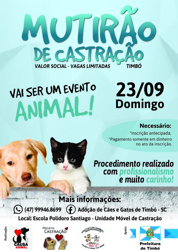 You are currently viewing Mutirão de castração com valor social está com inscrições abertas