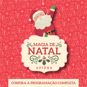 Read more about the article Confira a programação completa do Natal em Apiúna