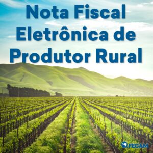 Read more about the article Esclarecimento sobre Nota Fiscal Eletrônica de Produtor Rural Agricultura