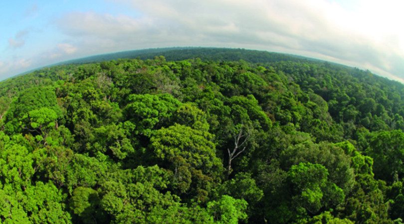 You are currently viewing Câmara aprova MP da regularização ambiental; texto segue para o Senado