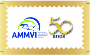 Read more about the article AMMVI recebe homenagem da Alesc nesta quinta-feira (15)