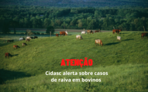 Read more about the article Cidasc alerta sobre casos de raiva em bovinos no Médio Vale do Itajaí