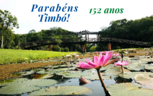 Read more about the article Timbó completa 152 anos